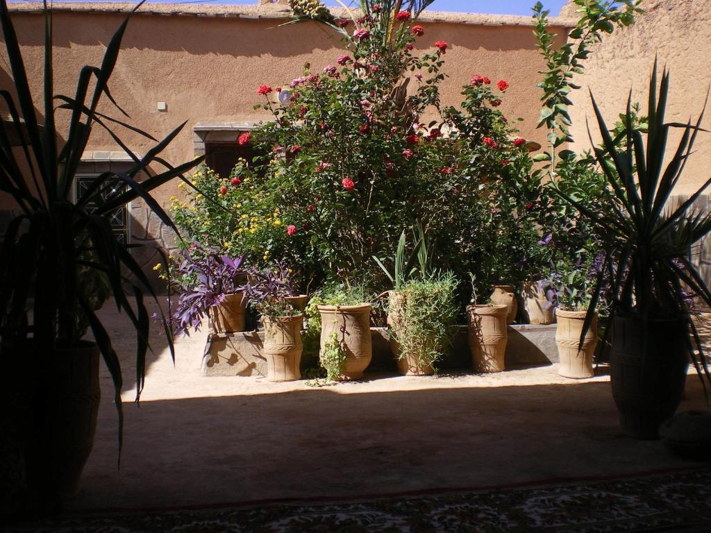 Maison D' Hotes Ait Hmid Nkob Esterno foto