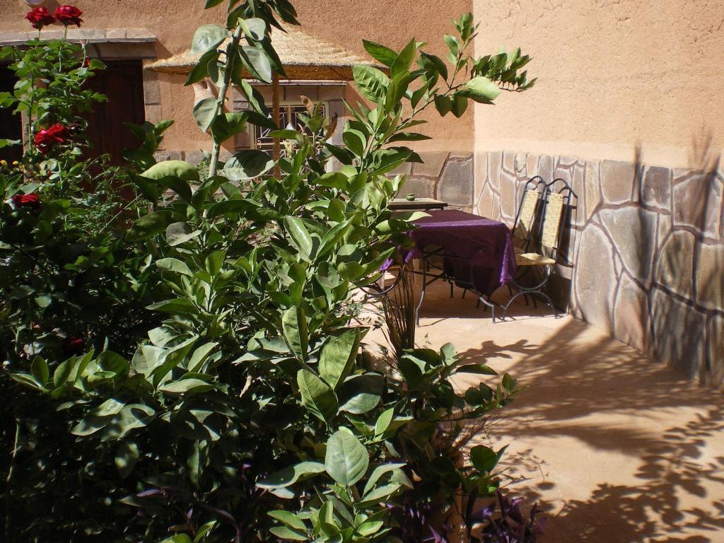 Maison D' Hotes Ait Hmid Nkob Esterno foto