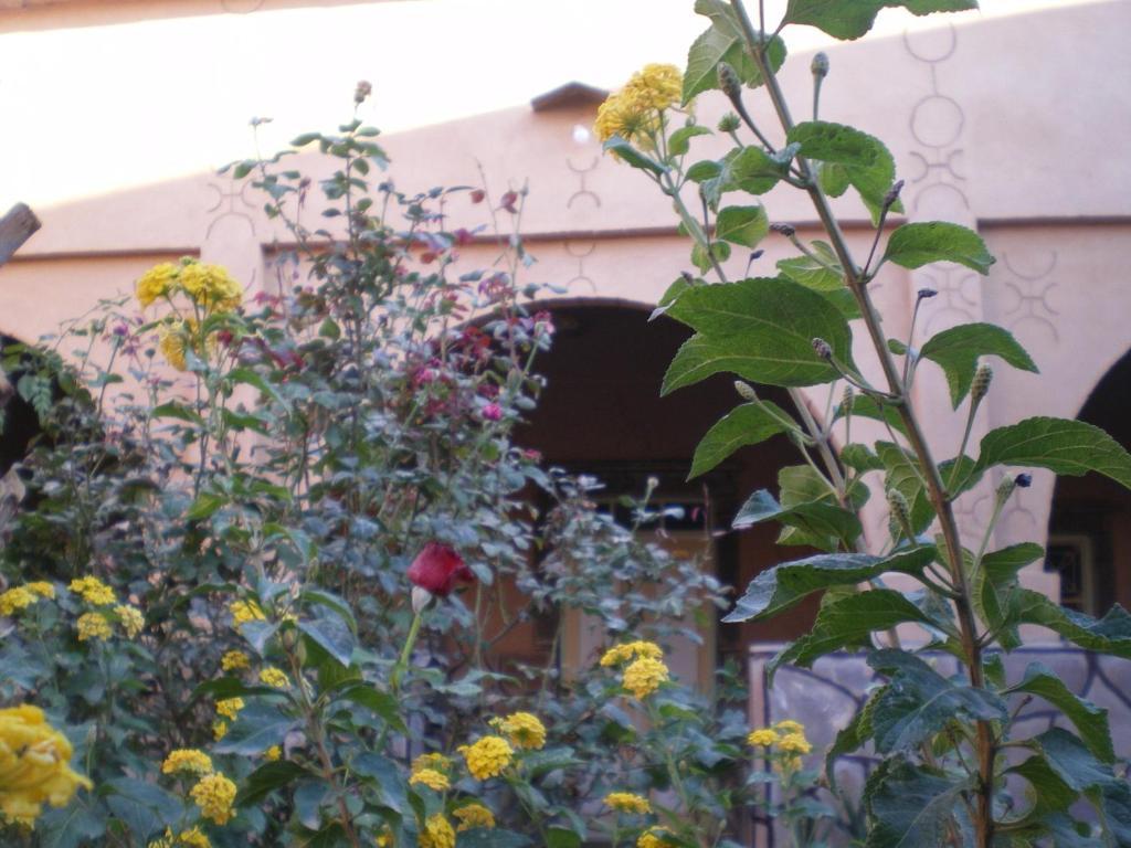 Maison D' Hotes Ait Hmid Nkob Esterno foto