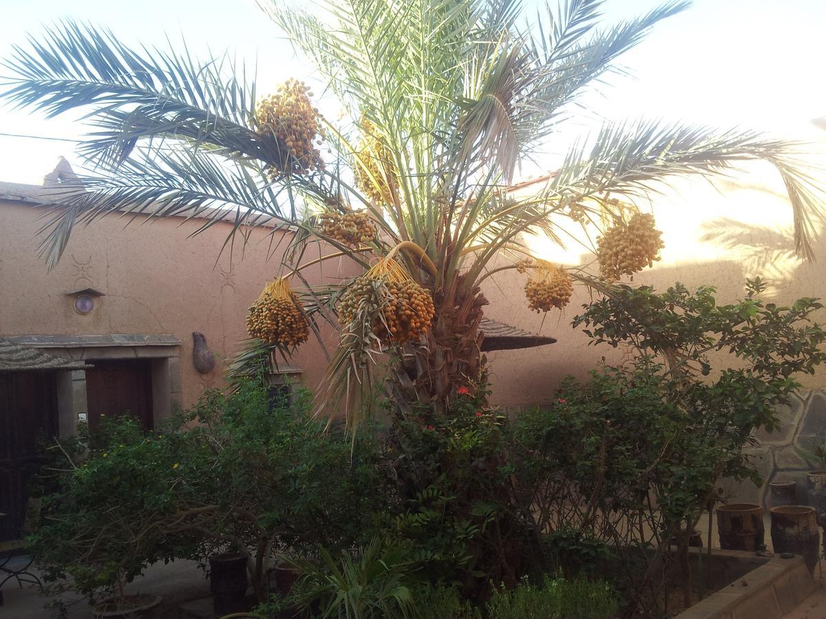 Maison D' Hotes Ait Hmid Nkob Esterno foto
